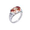  Geschlossener Ring 2R03490
